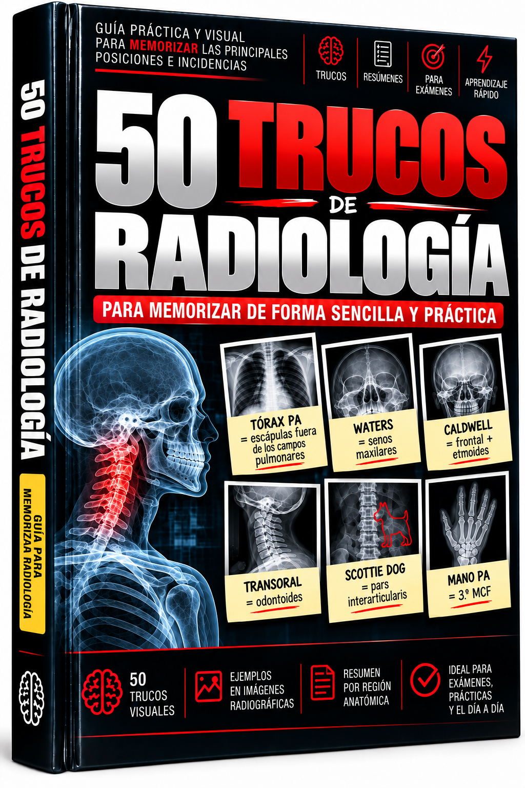 Bônus 2 - Guia Visual de Anatomia Palpatória